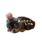 kuon（個別スタンプ：14）