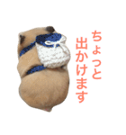 キンクマハムスター  おあげちゃん（個別スタンプ：15）