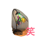 stained glass（個別スタンプ：6）