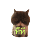 This is p'koh（個別スタンプ：5）