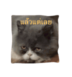 This is p'koh（個別スタンプ：13）