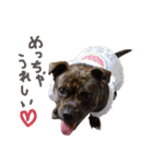 StaffyBetty ＆ Hanna 2（個別スタンプ：6）