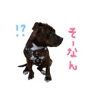 StaffyBetty ＆ Hanna 2（個別スタンプ：8）