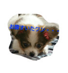 おてんば、ここちゃん！！（個別スタンプ：3）