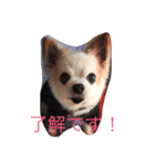 アリサとコテ（個別スタンプ：7）