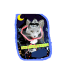 cat  lovey（個別スタンプ：15）