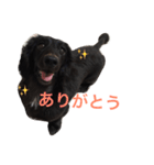 毎日はなさん2（個別スタンプ：2）