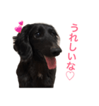 毎日はなさん2（個別スタンプ：8）