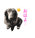 毎日はなさん2（個別スタンプ：13）