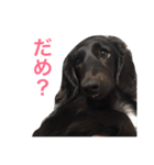 毎日はなさん2（個別スタンプ：14）