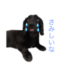 毎日はなさん2（個別スタンプ：22）