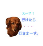 ハッピイー（個別スタンプ：8）