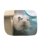 はむせじ（個別スタンプ：8）