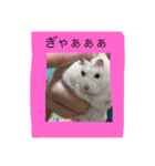 ハムスターのペットたち（個別スタンプ：7）