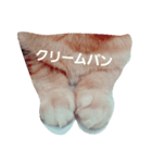 ゆるーいぽこちゃん（個別スタンプ：4）