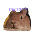 Chibikan（個別スタンプ：3）