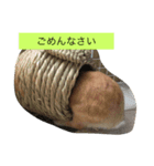 Chibikan（個別スタンプ：5）