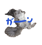 もこぞー！（個別スタンプ：8）
