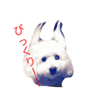 ホワイトトイプーくう（個別スタンプ：6）
