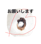 小さい大人の日常〜2歳〜 vol.1（個別スタンプ：6）