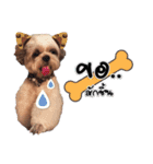 Pao-and-aura（個別スタンプ：1）