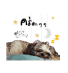 Pao-and-aura（個別スタンプ：3）