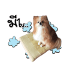 Pao-and-aura（個別スタンプ：8）