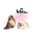 Pao-and-aura（個別スタンプ：9）