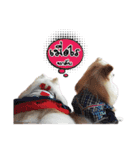 Pao-and-aura（個別スタンプ：10）