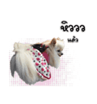 Pao-and-aura（個別スタンプ：13）