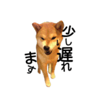 私はあなたの犬です（個別スタンプ：6）