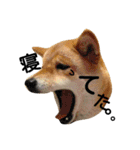 私はあなたの犬です（個別スタンプ：27）