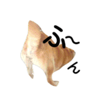 私はあなたの犬です（個別スタンプ：33）