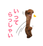 トイプーもも♡日常用スタンプ（個別スタンプ：2）