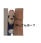 ぷれと愉快な仲間たち（個別スタンプ：5）