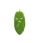 Feeling from the leaf（個別スタンプ：1）