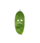 Feeling from the leaf（個別スタンプ：3）