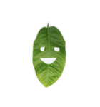 Feeling from the leaf（個別スタンプ：5）