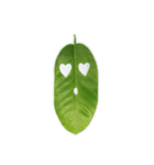 Feeling from the leaf（個別スタンプ：7）