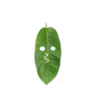 Feeling from the leaf（個別スタンプ：12）