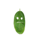 Feeling from the leaf（個別スタンプ：15）