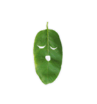 Feeling from the leaf（個別スタンプ：17）