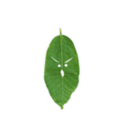 Feeling from the leaf（個別スタンプ：19）