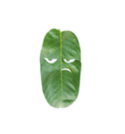 Feeling from the leaf（個別スタンプ：20）