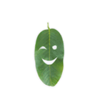 Feeling from the leaf（個別スタンプ：22）