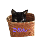 Nyan Nyansan（個別スタンプ：2）