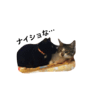 Nyan Nyansan（個別スタンプ：8）