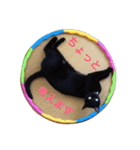 Nyan Nyansan（個別スタンプ：12）