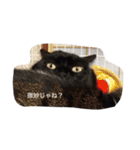 Nyan Nyansan（個別スタンプ：22）