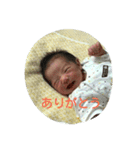 新生児 たんぽぽちゃん（個別スタンプ：1）